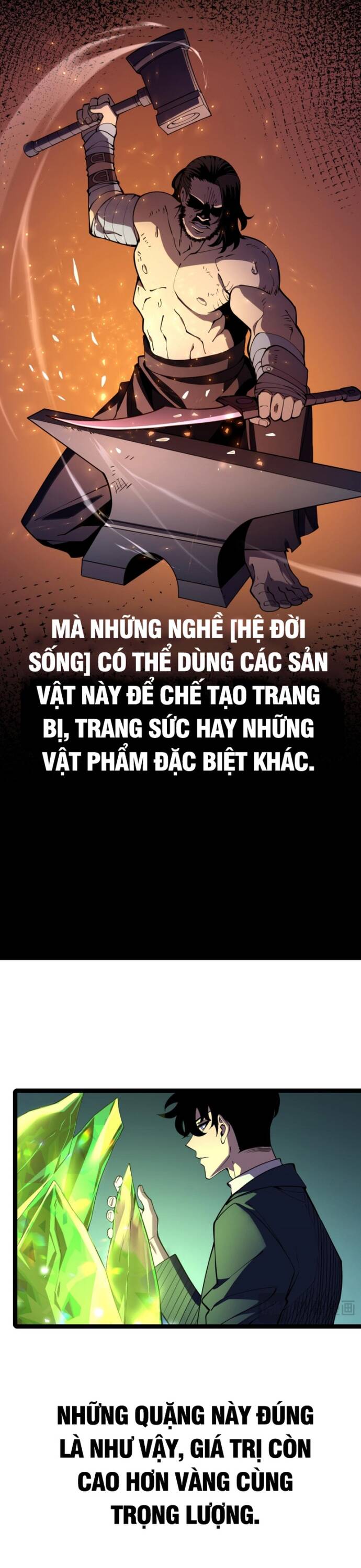 Trọng Khải Dị Thế: Ta Dùng Gương Thần Trở Thành Vô Địch Chapter 14 - 3