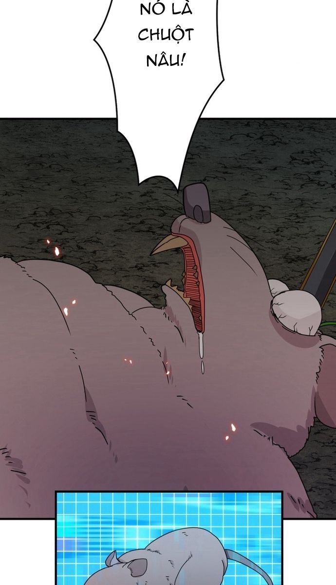 Đảo Ngược Chỉ Số : Từ Kẻ Xui Xẻo Thành Vô Địch! Chapter 10 - 20