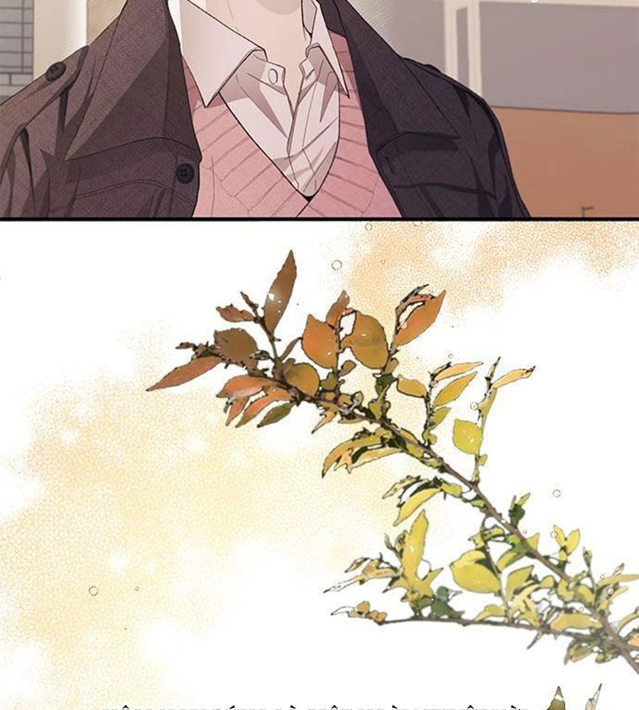 Yeonwoo's Innocence Chapter 83 - 70
