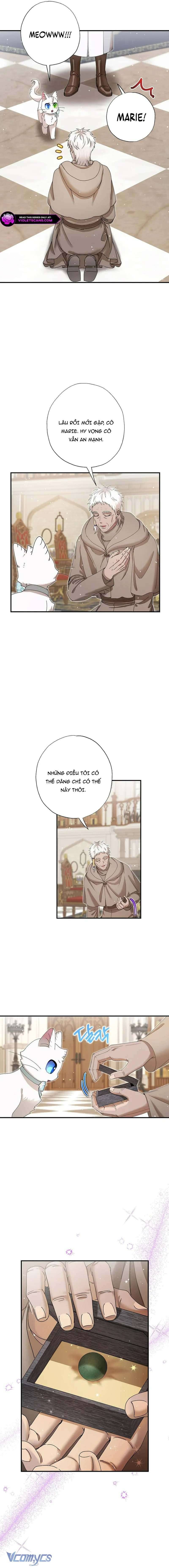 Trở Thành Miêu Nữ Của Hoàng Đế Chapter 52 - 12