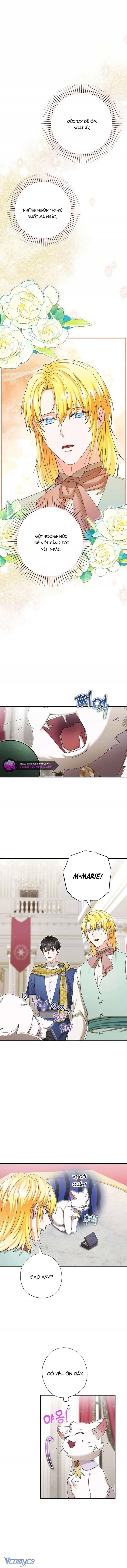 Trở Thành Miêu Nữ Của Hoàng Đế Chapter 53 - 11