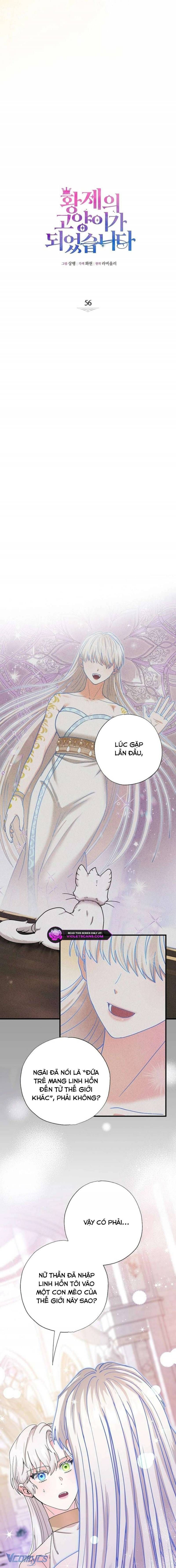 Trở Thành Miêu Nữ Của Hoàng Đế Chapter 56 - 3