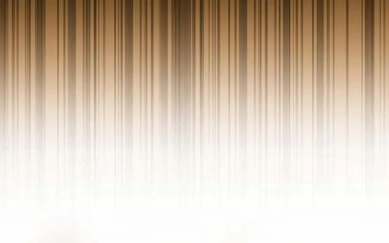 Bậc Thầy Toàn Bộ Kỹ Năng Chapter 33 - 239