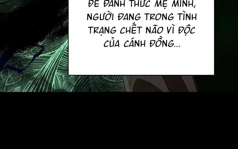 Bậc Thầy Toàn Bộ Kỹ Năng Chapter 33 - 261
