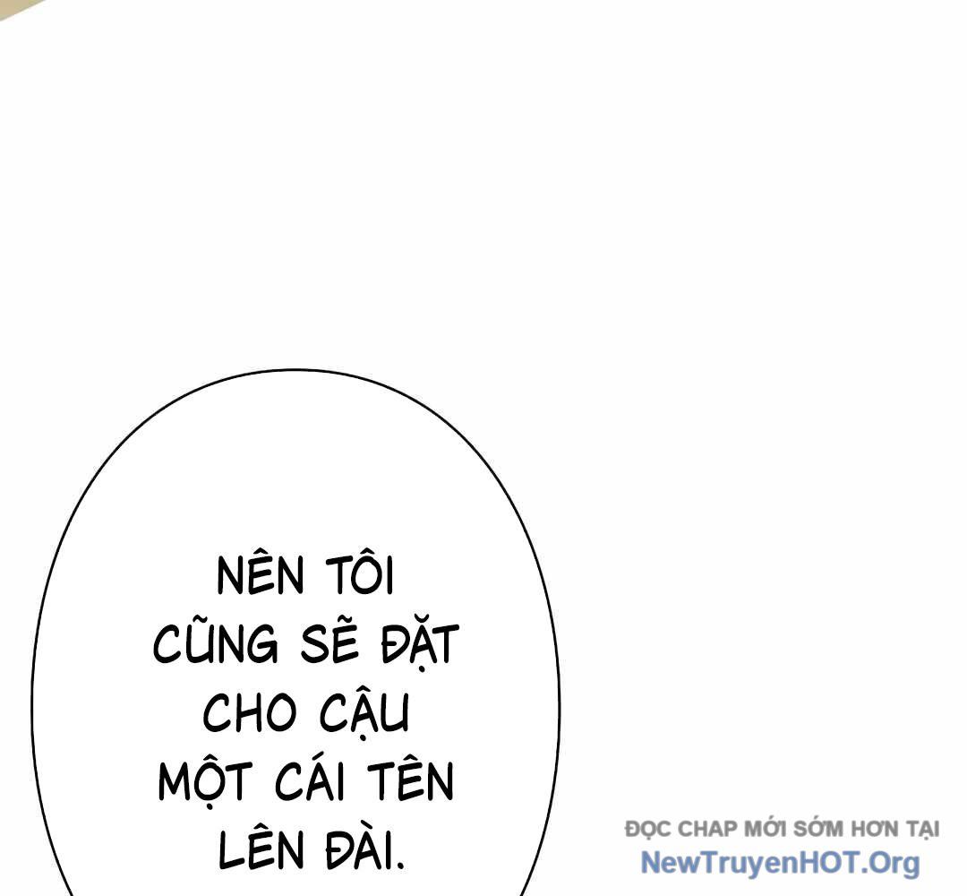 Ác Nhân Lồng Bát Giác Chapter 31 - 17