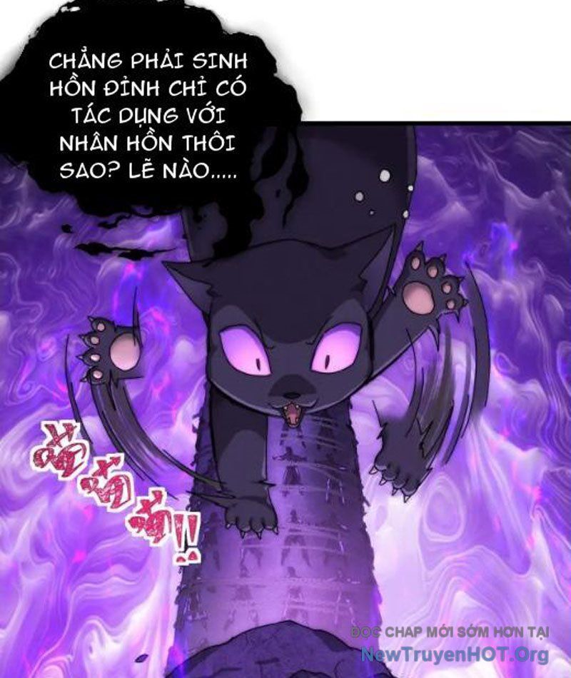 Ta Dựa Vào Tu Tiên Xưng Bá Mạt Thế Chapter 14 - 8