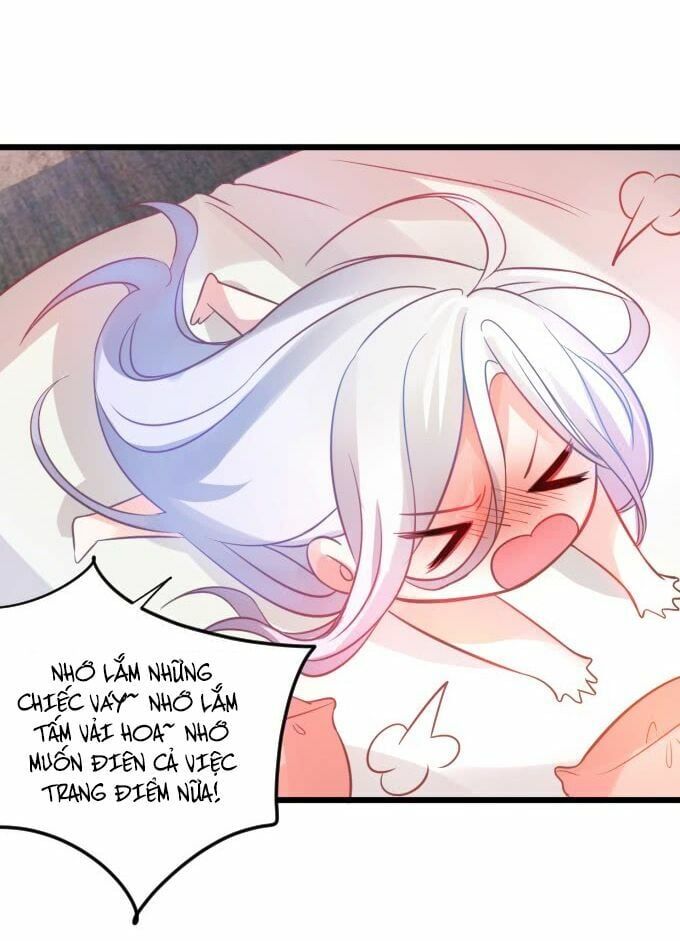 Hắc Đạo Đáng Yêu Chapter 1 - 11