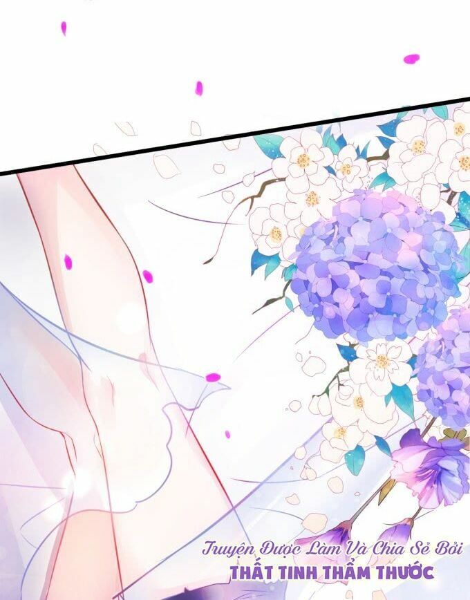 Hắc Đạo Đáng Yêu Chapter 1 - 14