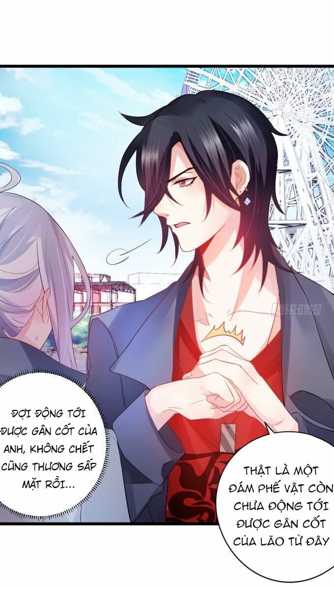 Hắc Đạo Đáng Yêu Chapter 1 - 41