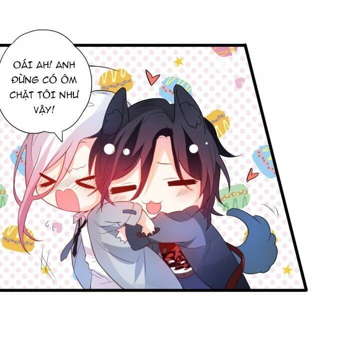 Hắc Đạo Đáng Yêu Chapter 1 - 43