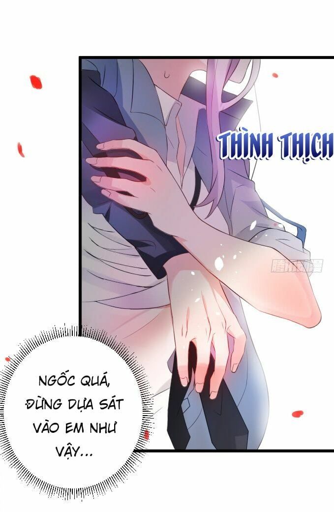 Hắc Đạo Đáng Yêu Chapter 1 - 48