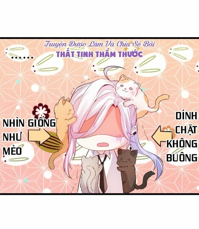 Hắc Đạo Đáng Yêu Chapter 1 - 58