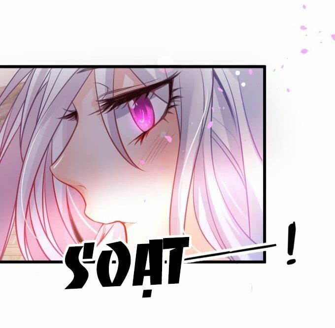 Hắc Đạo Đáng Yêu Chapter 1 - 7