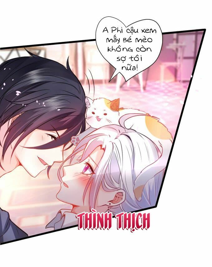 Hắc Đạo Đáng Yêu Chapter 1 - 68