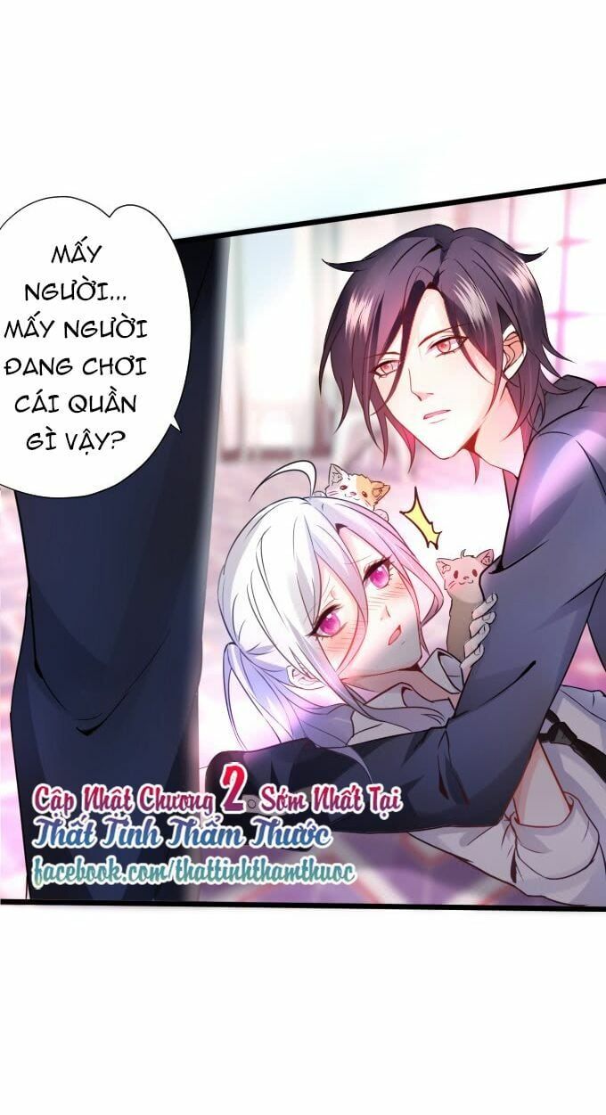 Hắc Đạo Đáng Yêu Chapter 1 - 71