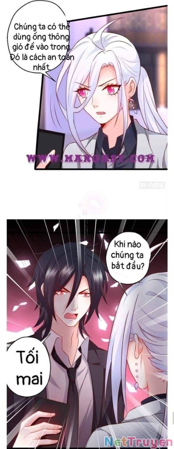 Hắc Đạo Đáng Yêu Chapter 100 - 20