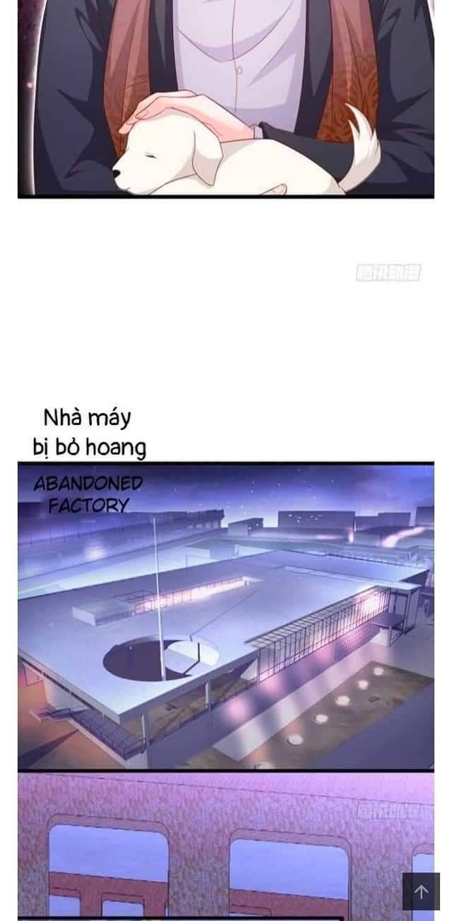 Hắc Đạo Đáng Yêu Chapter 102 - 24