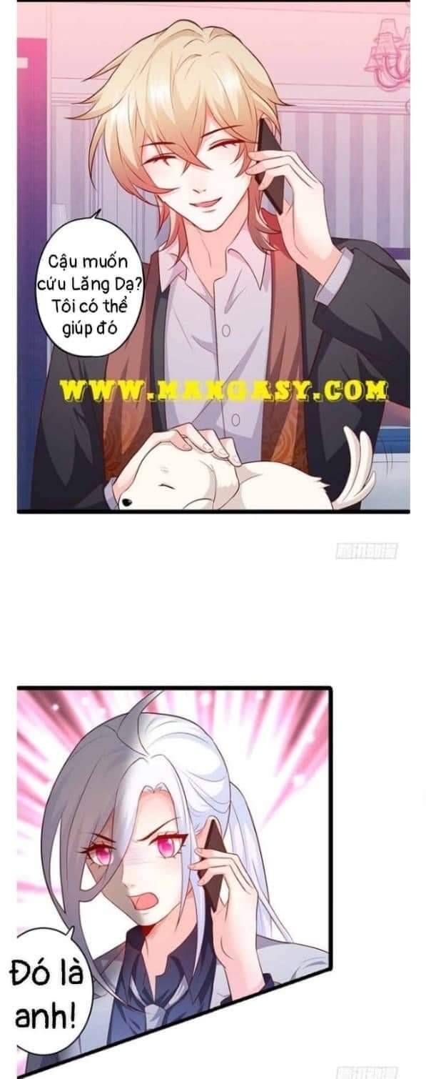 Hắc Đạo Đáng Yêu Chapter 104 - 25