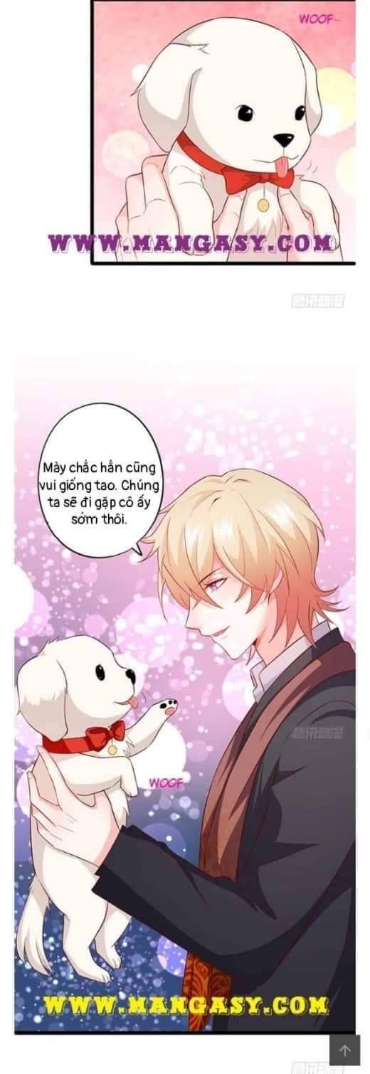 Hắc Đạo Đáng Yêu Chapter 104 - 28