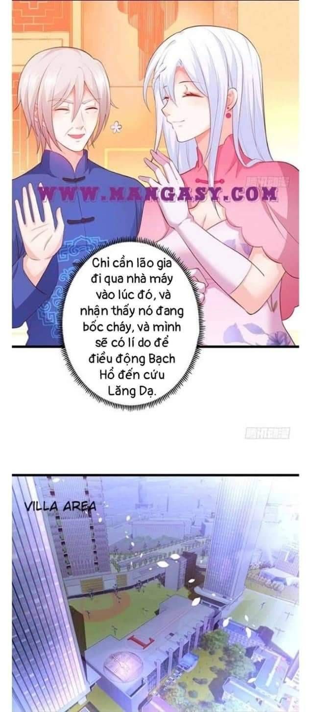 Hắc Đạo Đáng Yêu Chapter 105 - 36