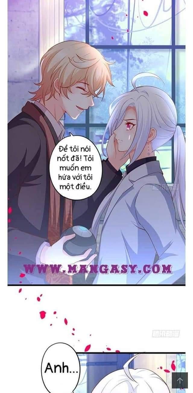 Hắc Đạo Đáng Yêu Chapter 105 - 5