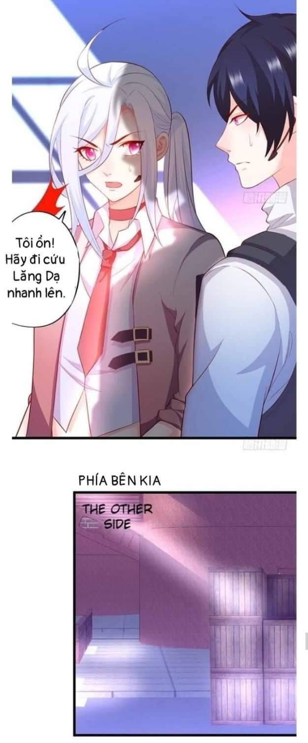 Hắc Đạo Đáng Yêu Chapter 107 - 17