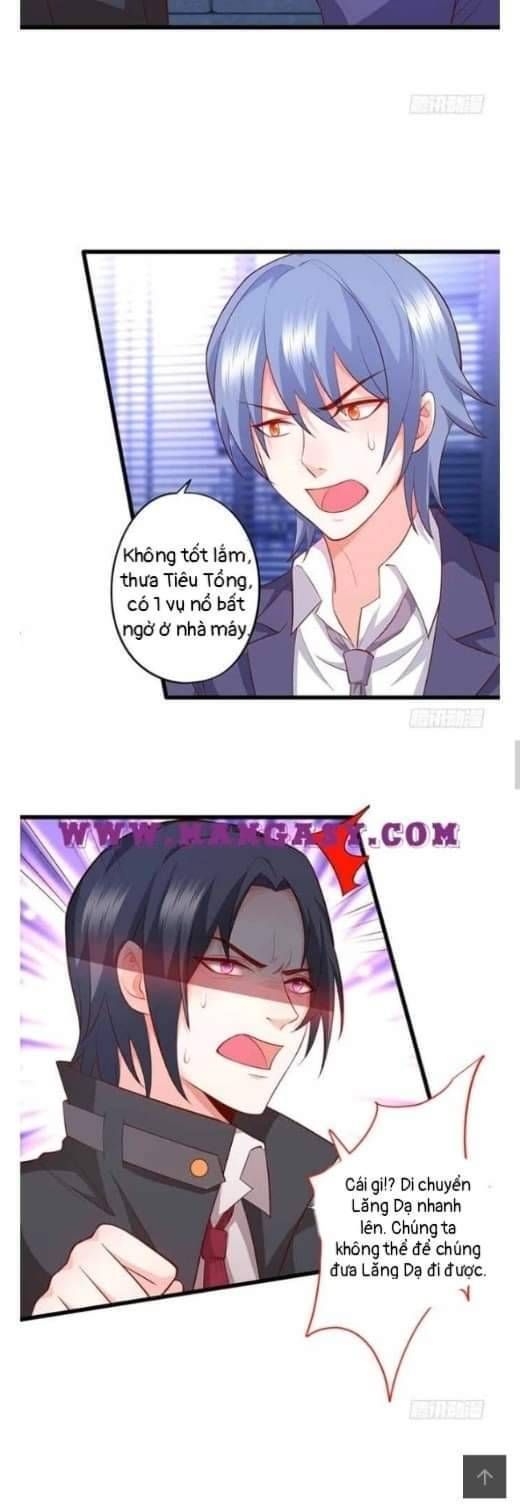 Hắc Đạo Đáng Yêu Chapter 107 - 6