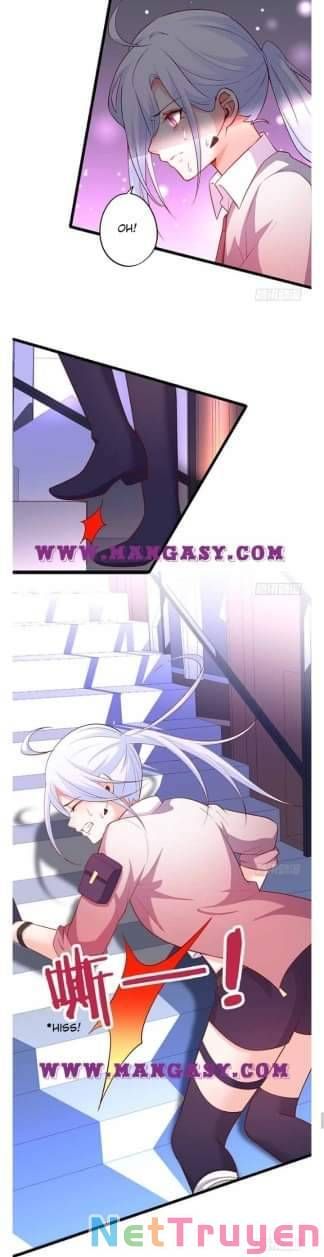 Hắc Đạo Đáng Yêu Chapter 108 - 15