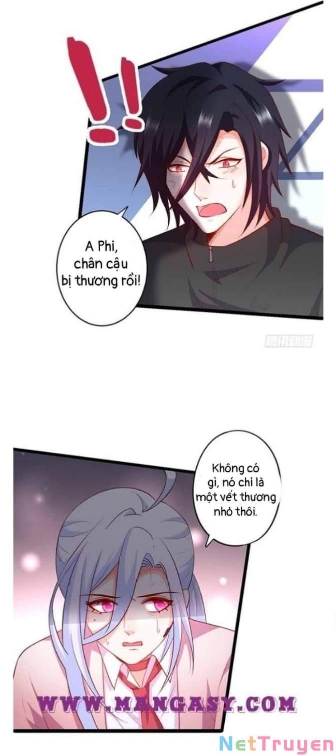 Hắc Đạo Đáng Yêu Chapter 108 - 16