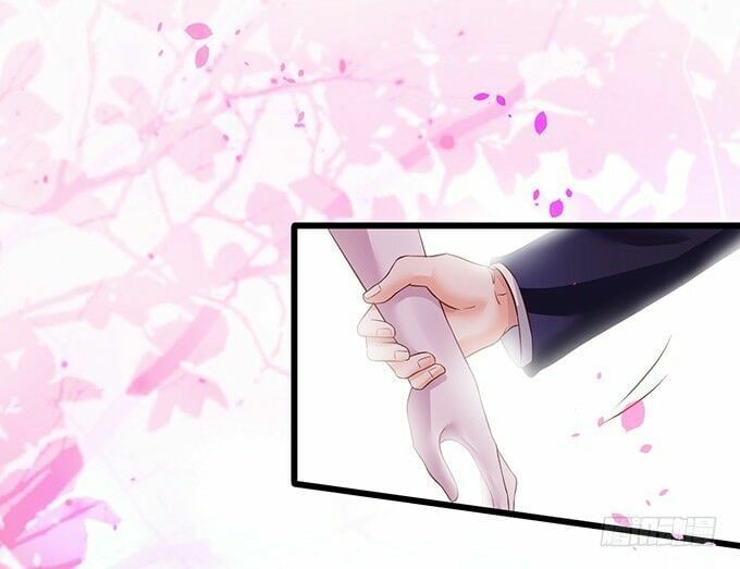 Hắc Đạo Đáng Yêu Chapter 11 - 47