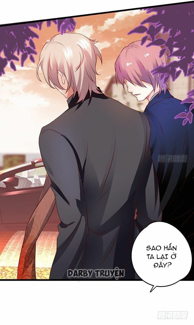 Hắc Đạo Đáng Yêu Chapter 11 - 52