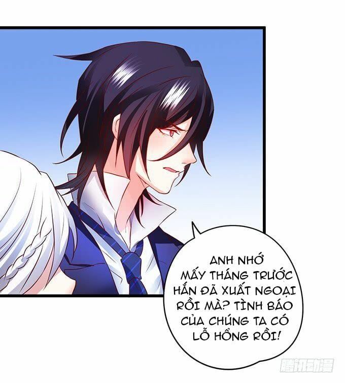 Hắc Đạo Đáng Yêu Chapter 11 - 53