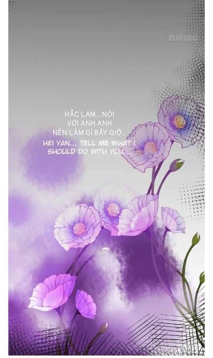 Hắc Đạo Đáng Yêu Chapter 111 - 33