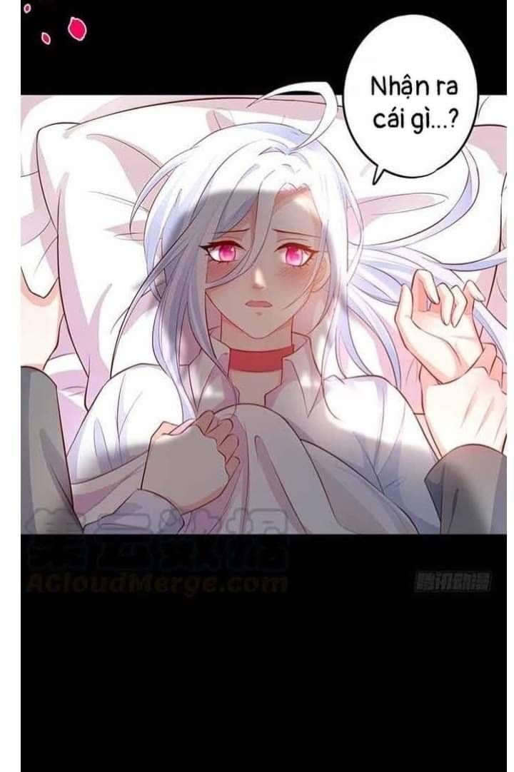 Hắc Đạo Đáng Yêu Chapter 112 - 14