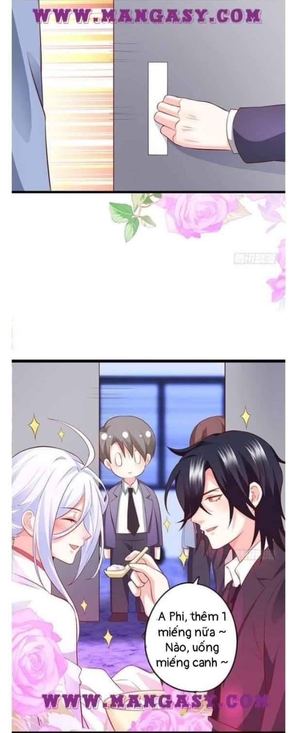 Hắc Đạo Đáng Yêu Chapter 112 - 21