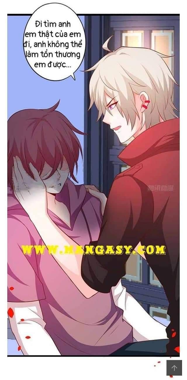 Hắc Đạo Đáng Yêu Chapter 113 - 24