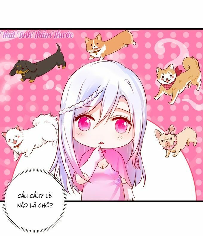 Hắc Đạo Đáng Yêu Chapter 12 - 30