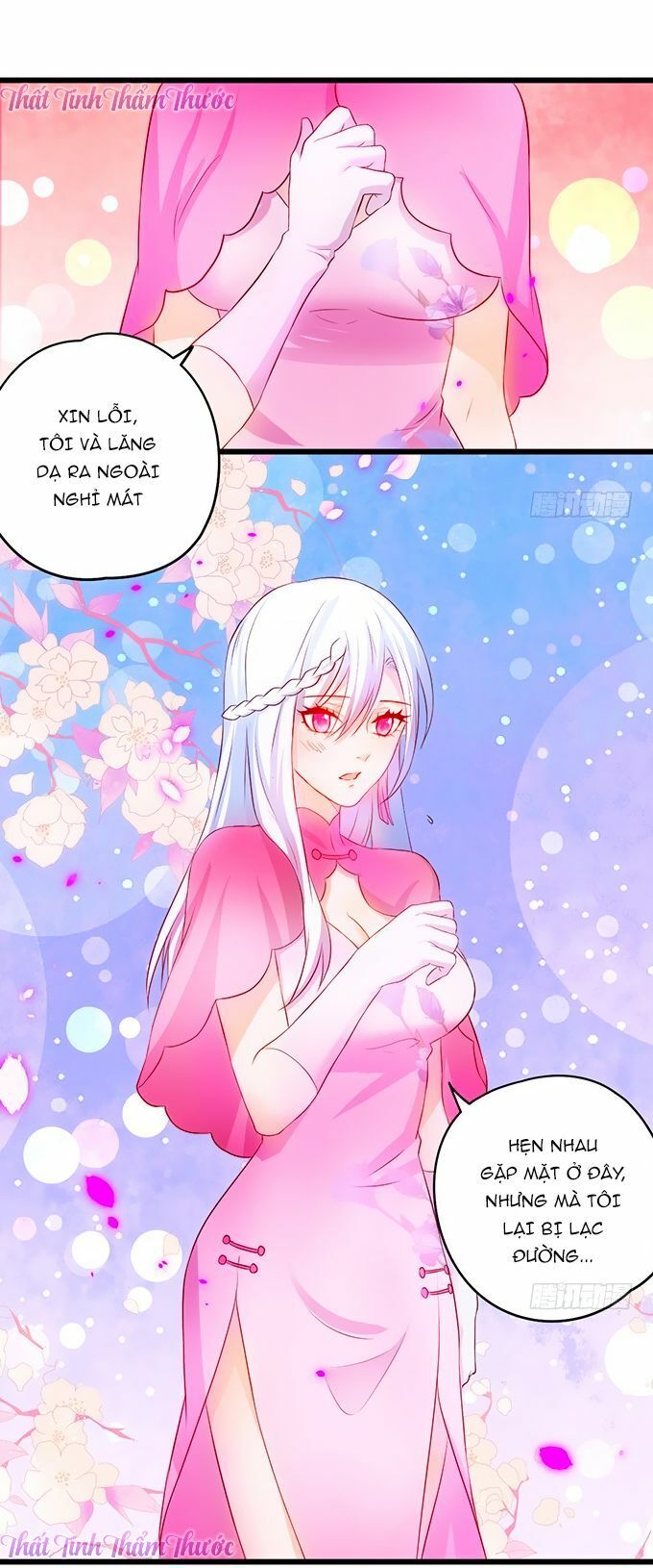 Hắc Đạo Đáng Yêu Chapter 12 - 7