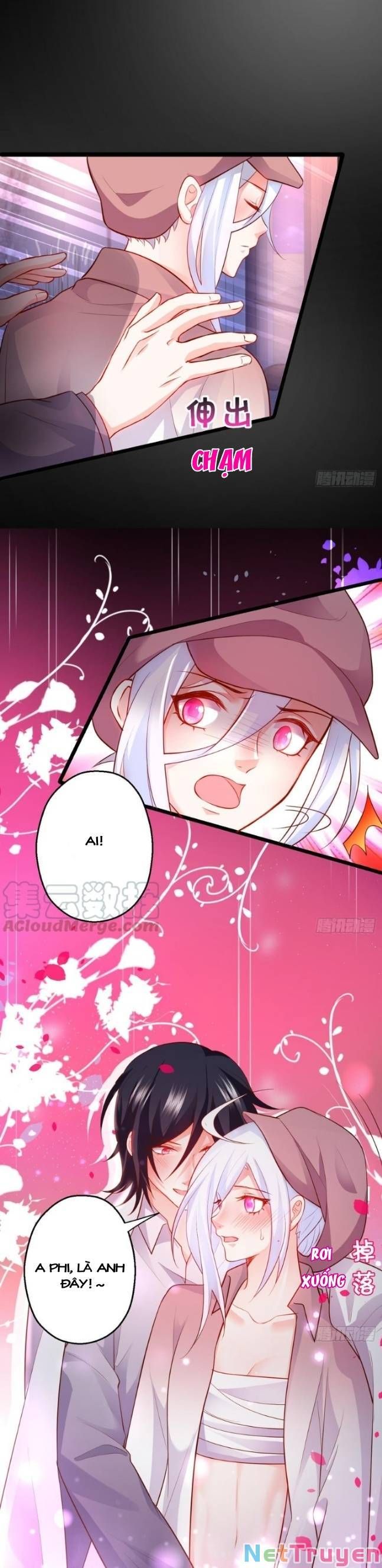 Hắc Đạo Đáng Yêu Chapter 127 - 15