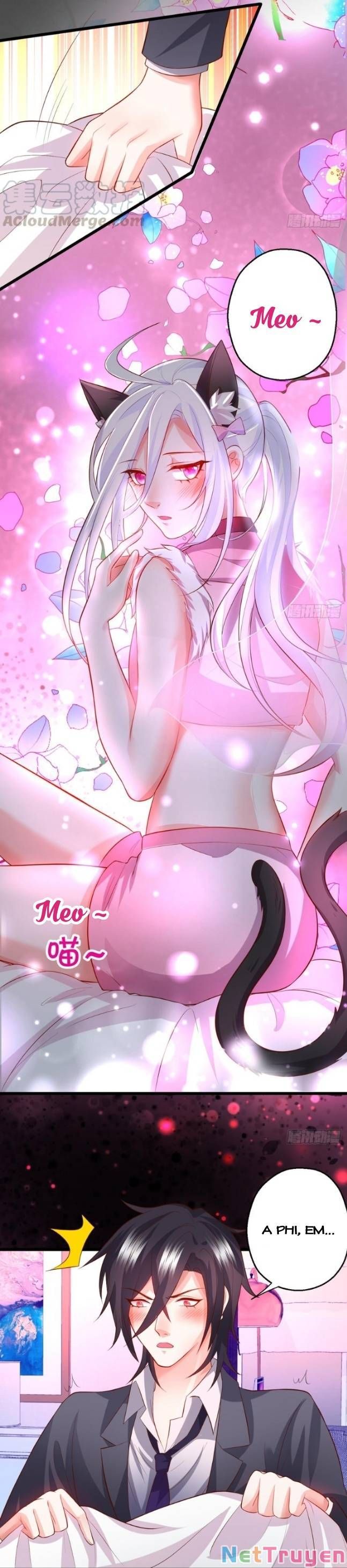 Hắc Đạo Đáng Yêu Chapter 129 - 21