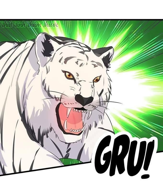 Hắc Đạo Đáng Yêu Chapter 13 - 11