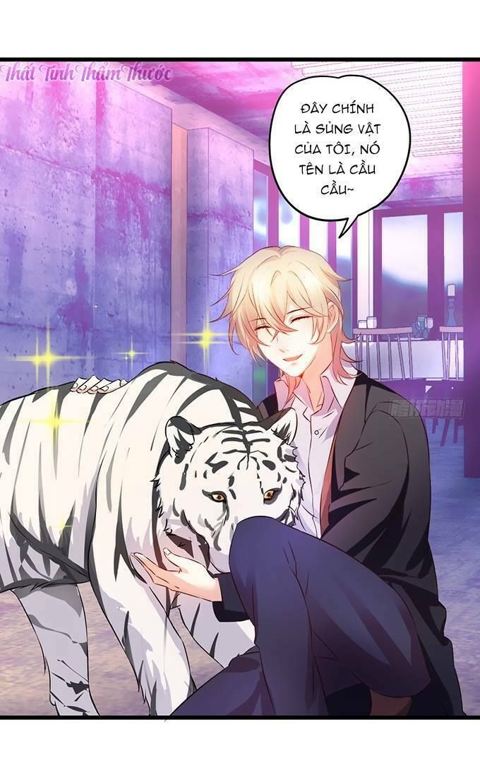 Hắc Đạo Đáng Yêu Chapter 13 - 13