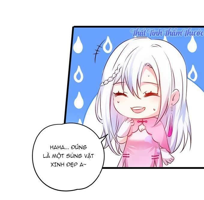 Hắc Đạo Đáng Yêu Chapter 13 - 14