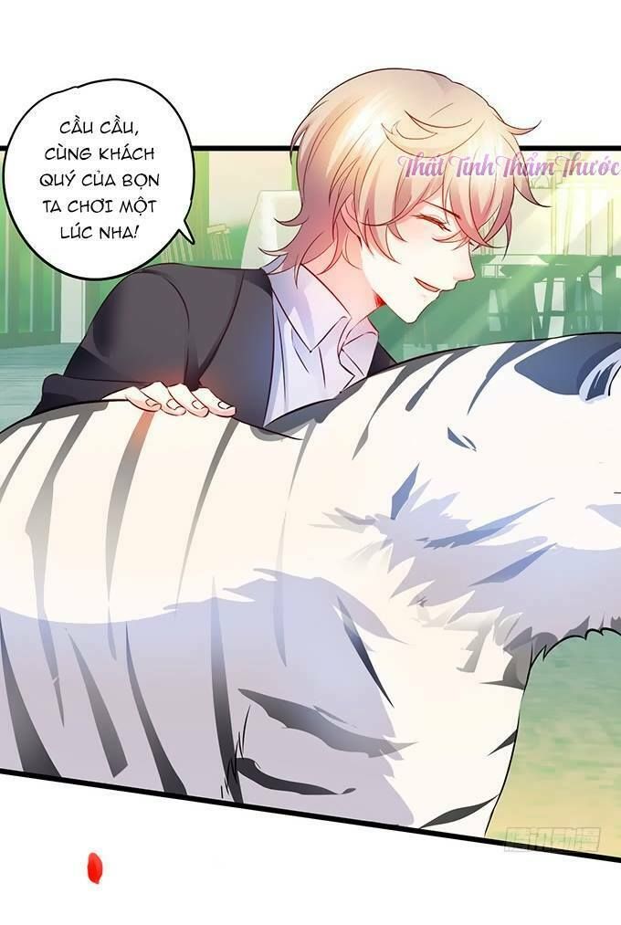 Hắc Đạo Đáng Yêu Chapter 13 - 18