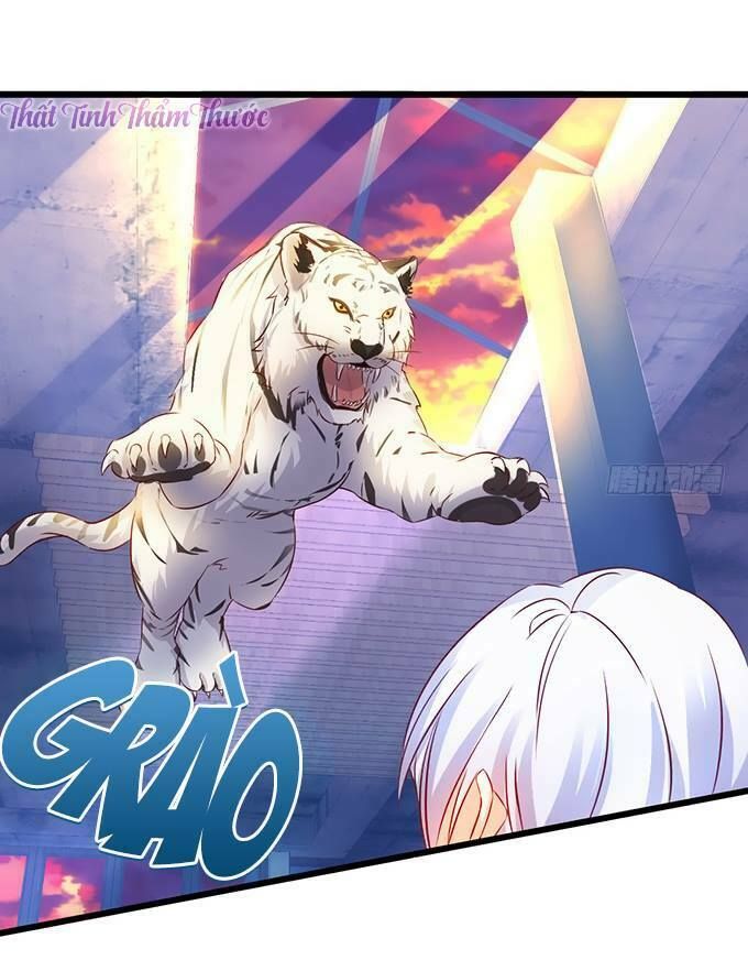 Hắc Đạo Đáng Yêu Chapter 13 - 33