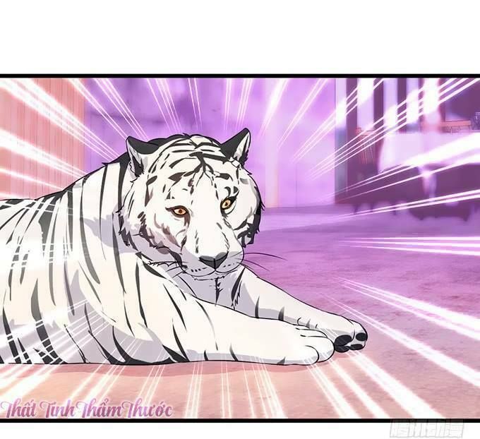 Hắc Đạo Đáng Yêu Chapter 13 - 9