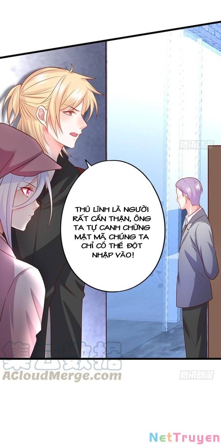 Hắc Đạo Đáng Yêu Chapter 130 - 25