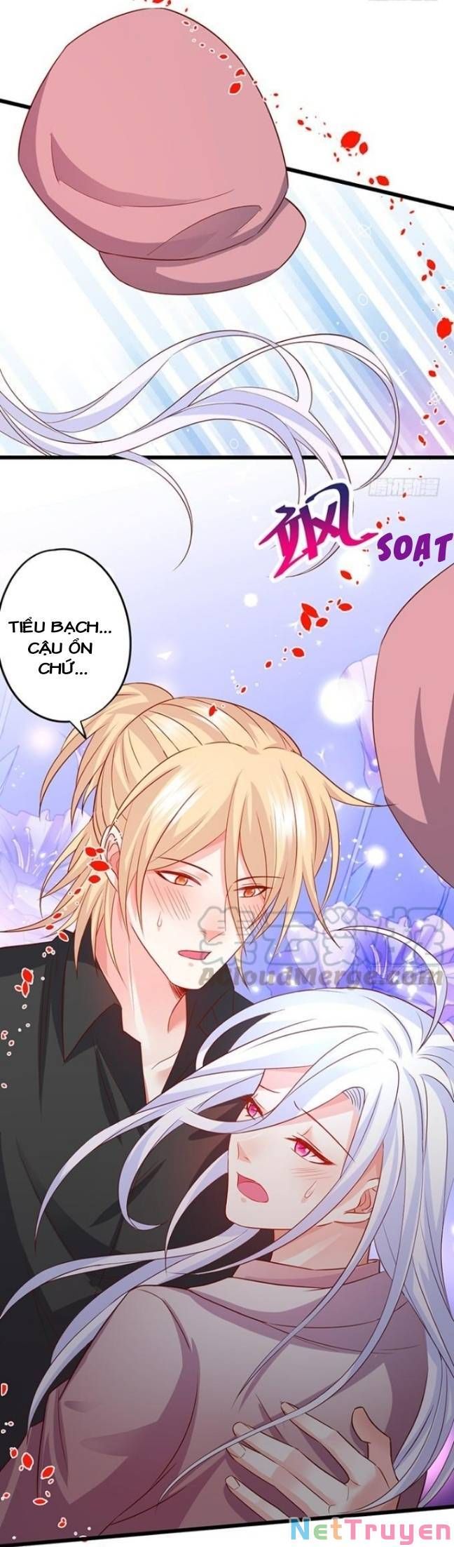 Hắc Đạo Đáng Yêu Chapter 130 - 30