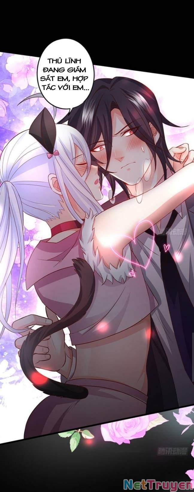 Hắc Đạo Đáng Yêu Chapter 130 - 4