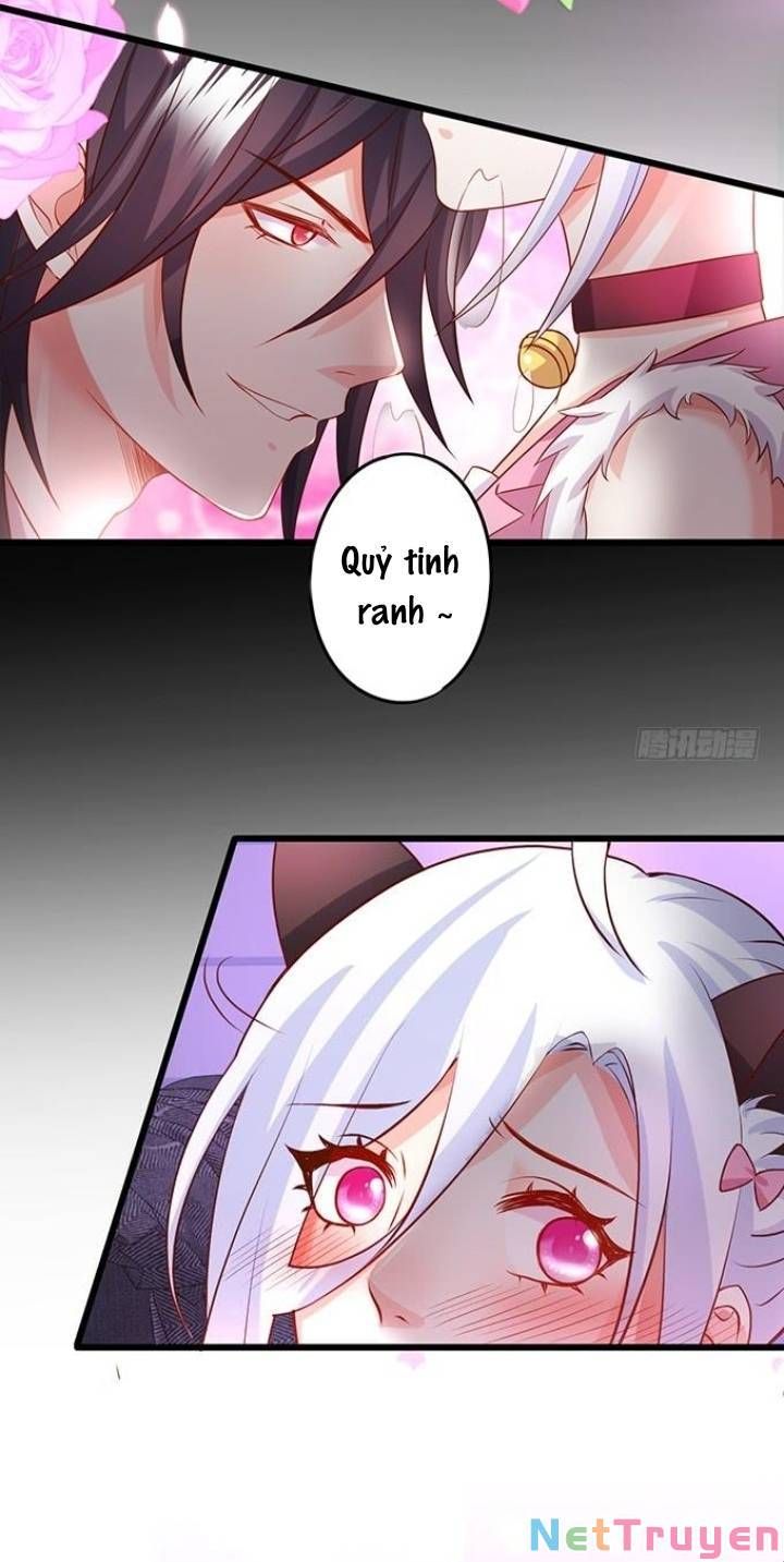 Hắc Đạo Đáng Yêu Chapter 130 - 6